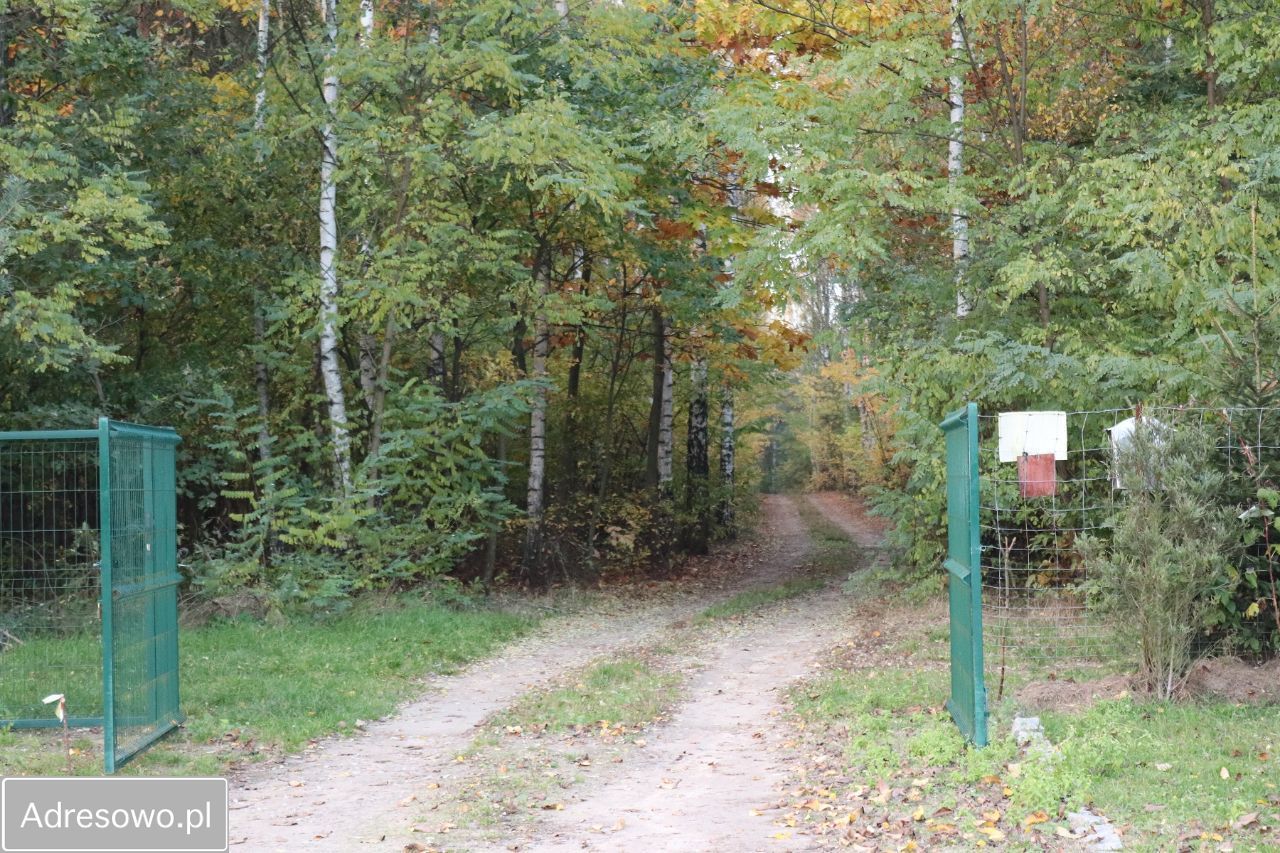 siedlisko, 6 pokoi Tuliszków. Zdjęcie 9