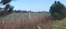 Działka siedliskowa Bogdaszowice, ul. Wiśniowa. Zdjęcie 4