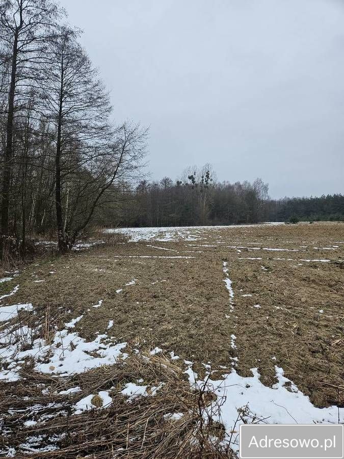 Działka budowlana Łazy Wielkie. Zdjęcie 2