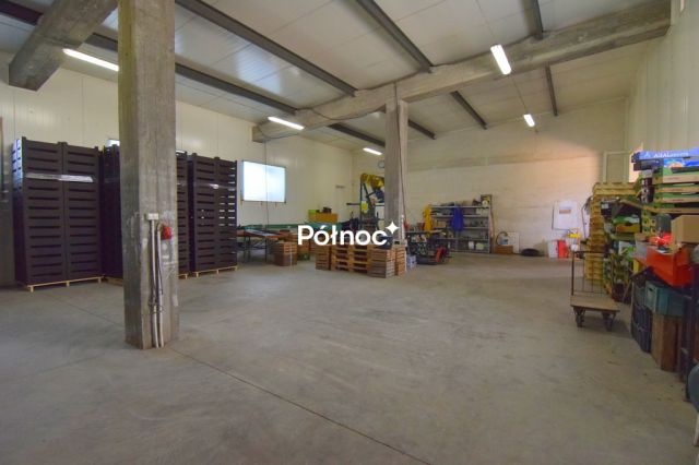 Hala/magazyn Topolany. Zdjęcie 17