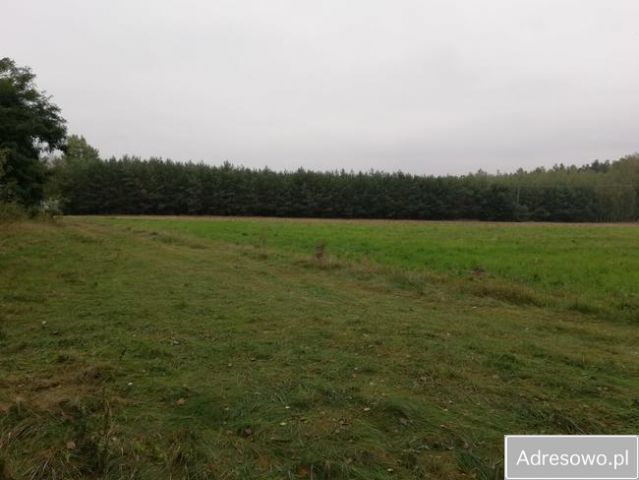 Działka rolna Nowy Podoś. Zdjęcie 1