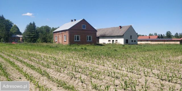 Działka budowlana Budy Łańcuckie. Zdjęcie 1