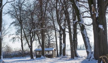 dom wolnostojący, 4 pokoje Danielowice