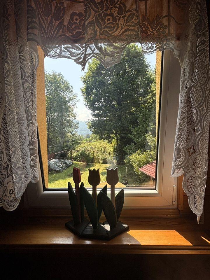 dom wolnostojący, 4 pokoje Kojszówka Brzanki. Zdjęcie 50