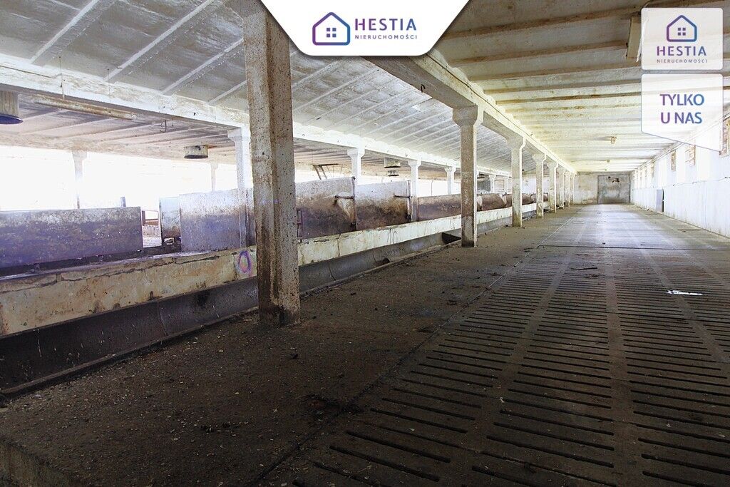Hala/magazyn Strzyżno. Zdjęcie 7