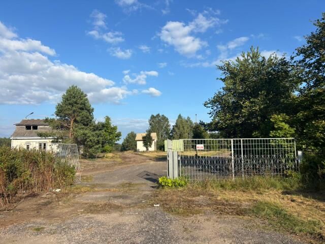 Lokal Przytuły-Las. Zdjęcie 10