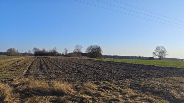 Działka budowlana Borki Siedleckie. Zdjęcie 1