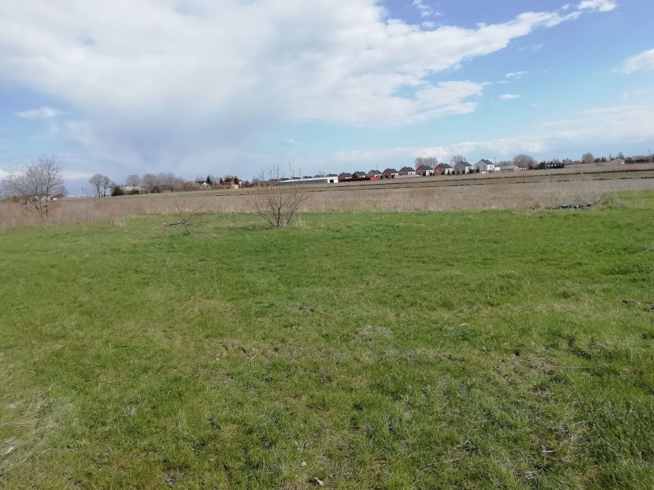 Działka rolno-budowlana Janczewice, ul. Żytnia. Zdjęcie 10