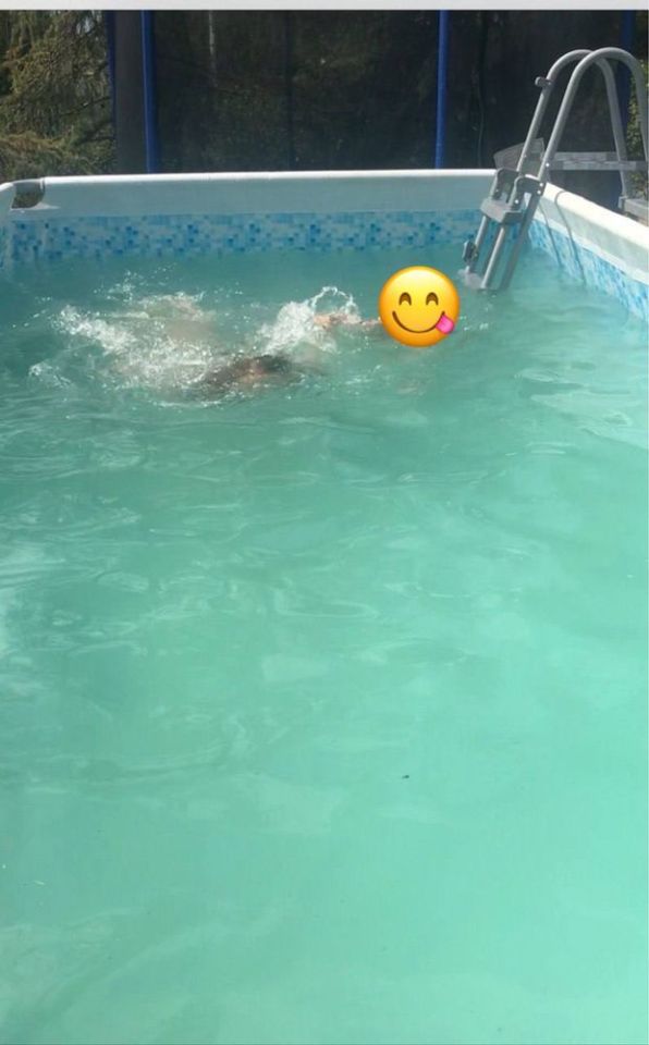 Działka rekreacyjna Włocławek. Zdjęcie 7