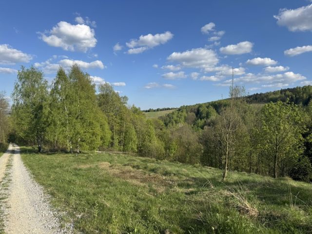 Działka budowlana Kamieńczyk. Zdjęcie 1