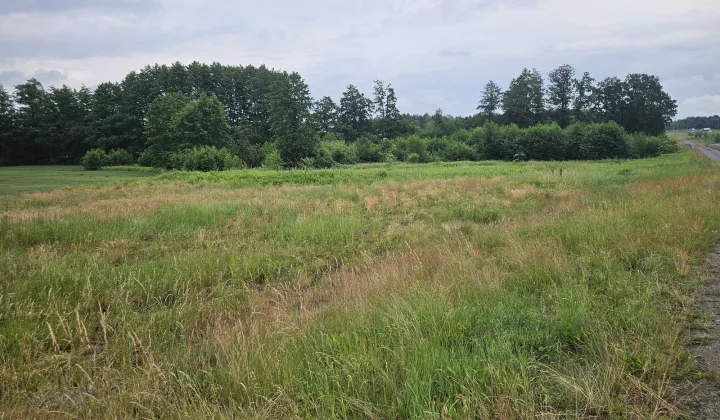 Działka inwestycyjna Prusice