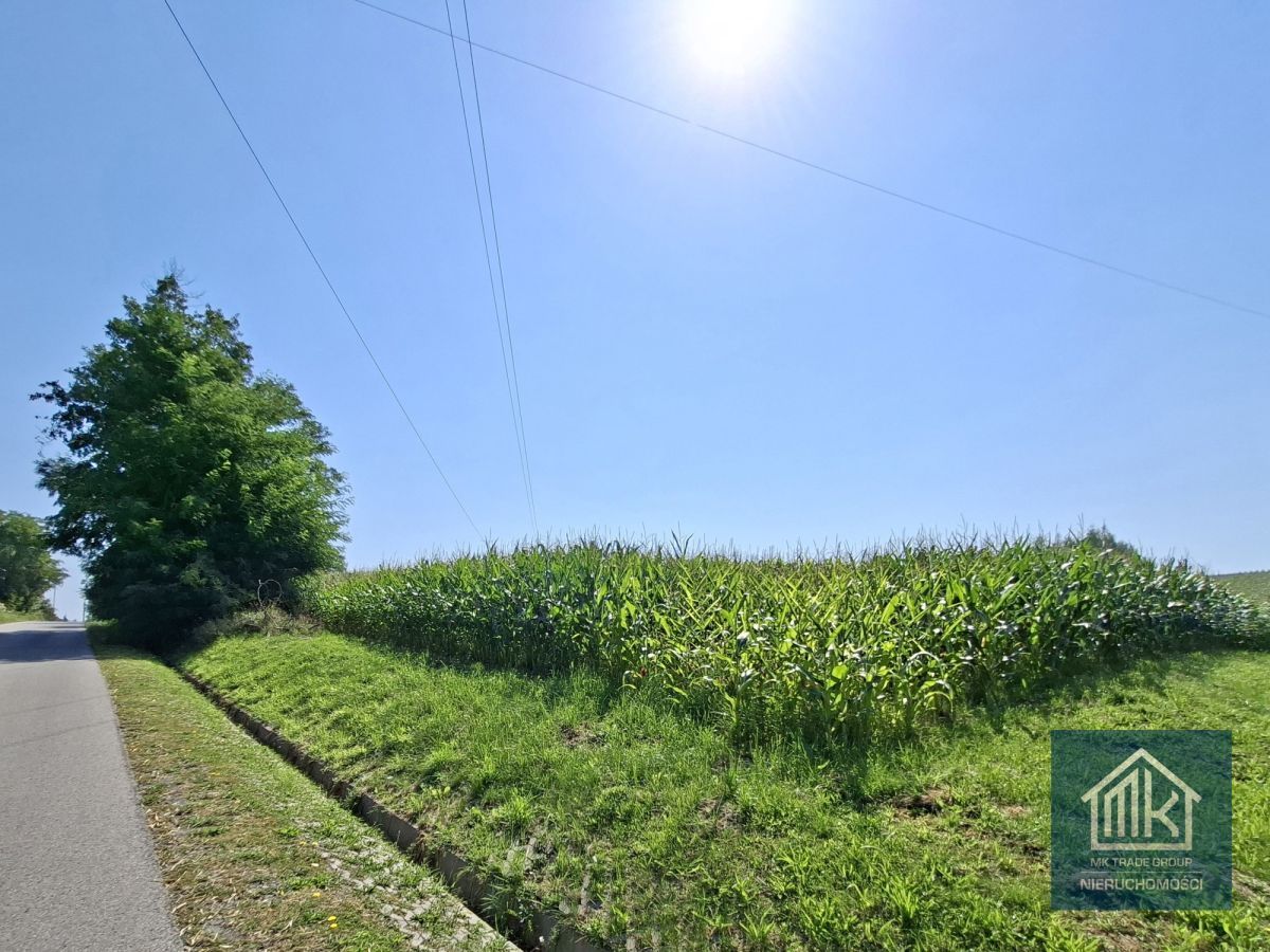 Działka budowlana Bodzanów. Zdjęcie 2