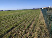 Działka budowlana Łubianka, ul. bp. A. Szelążka. Zdjęcie 4