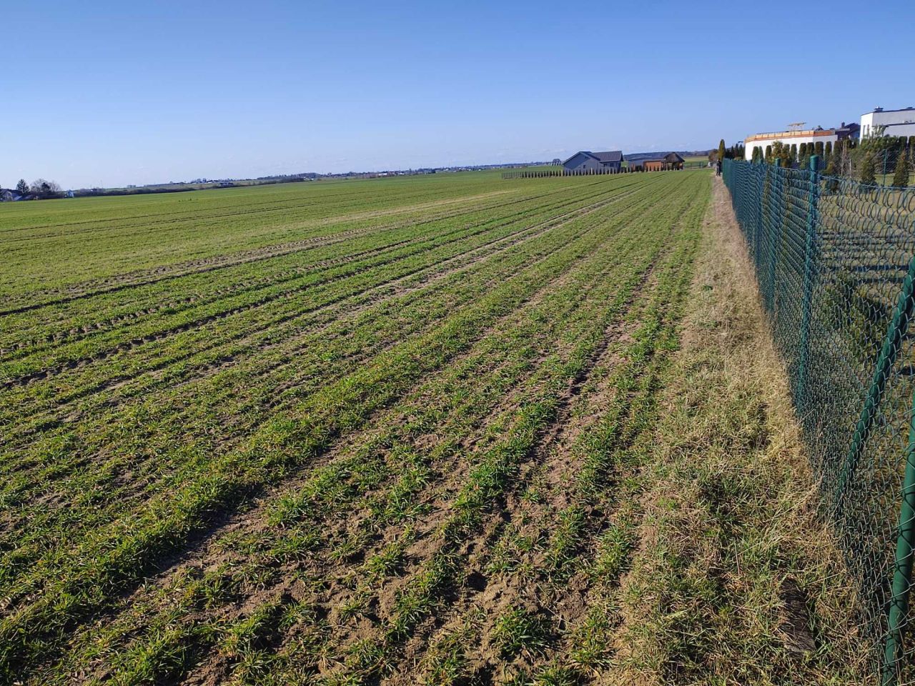Działka budowlana Łubianka, ul. bp. A. Szelążka. Zdjęcie 5