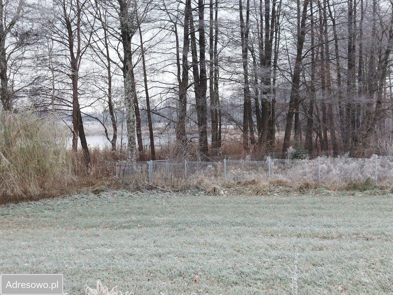 dom wolnostojący, 9 pokoi Mojtyny. Zdjęcie 15