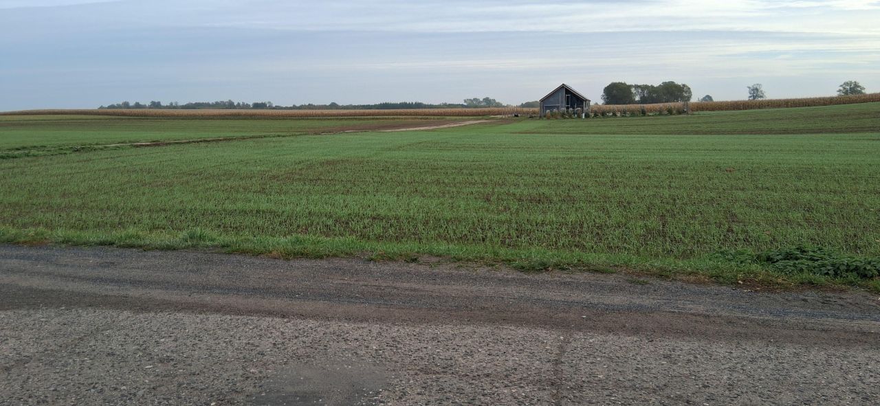 Działka budowlana Kiczarowo. Zdjęcie 3