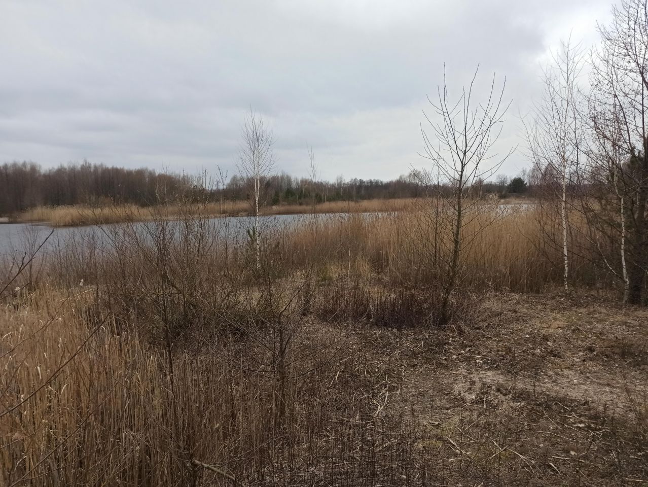 Działka inwestycyjna Strzegowo. Zdjęcie 3