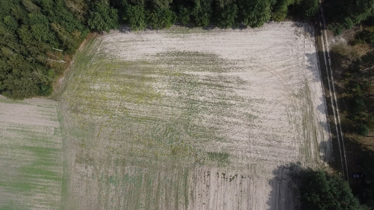 Działka rolna Wielkopole. Zdjęcie 12