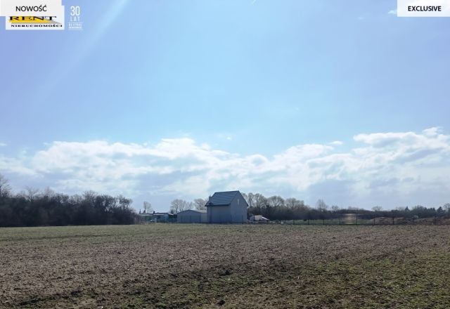 Działka budowlana Trzebusz. Zdjęcie 4