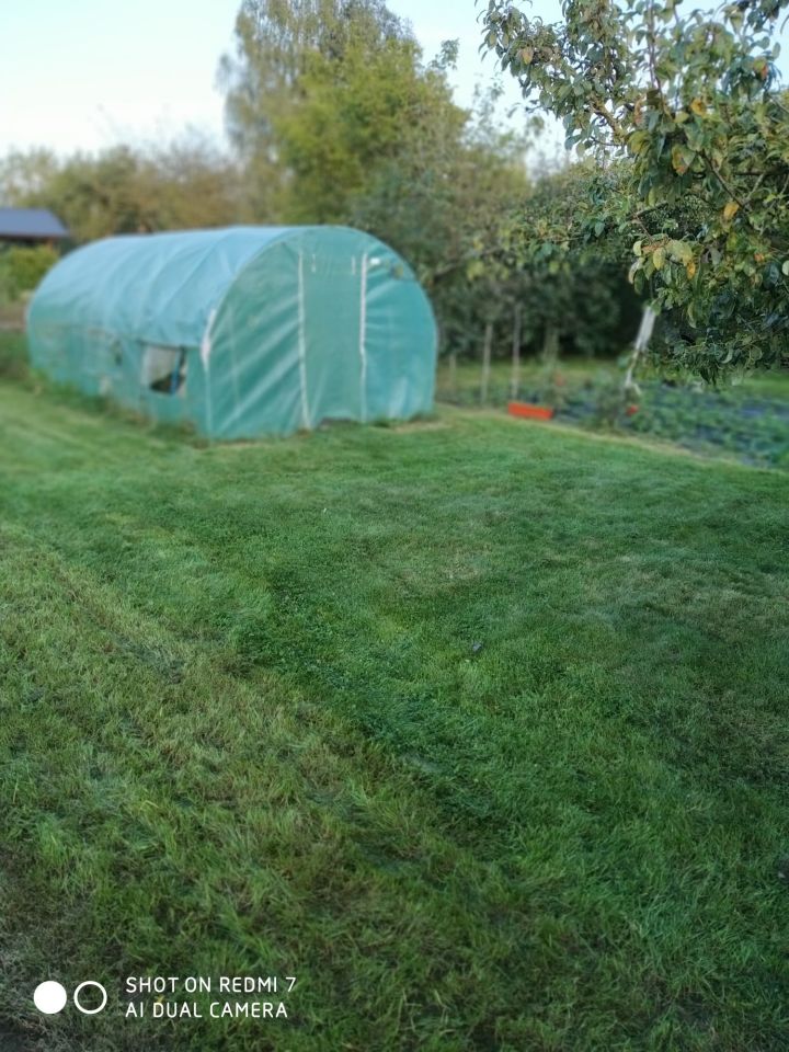 Działka rod Mława. Zdjęcie 5