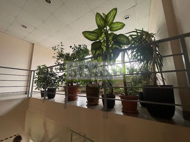 Hala/magazyn Warszawa Praga-Północ. Zdjęcie 3