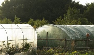 Działka budowlana Marszewo, Marszewo