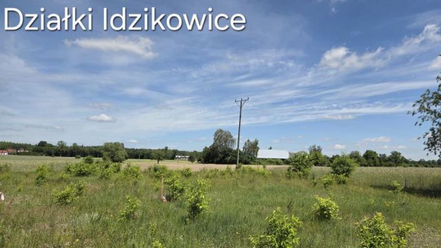 Działka rolna Idzikowice. Zdjęcie 6