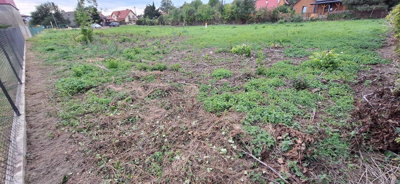 Zdjęcie 8