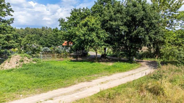 Działka budowlana Straszowice Żychlin. Zdjęcie 13