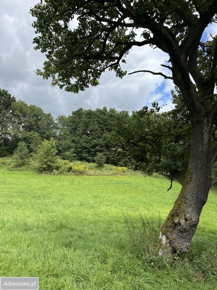 Działka rolno-budowlana Faściszowa. Zdjęcie 10
