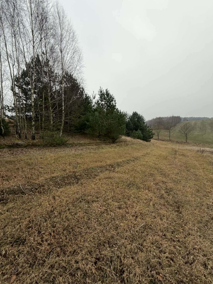 Działka budowlana Płotowo Płotówko. Zdjęcie 2