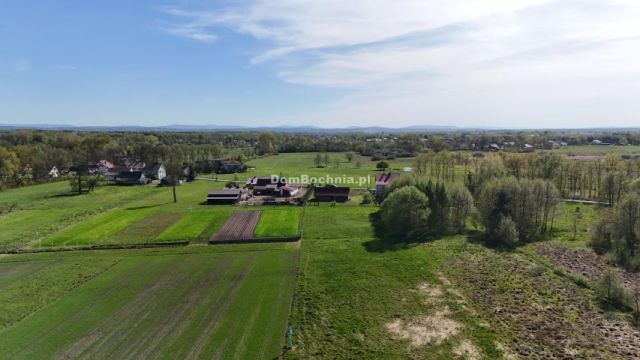 Działka rolno-budowlana Dębina. Zdjęcie 5