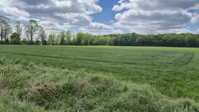 Działka rolno-budowlana Syców, ul. Polna. Zdjęcie 5