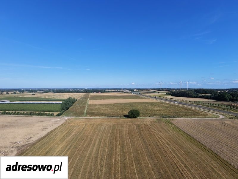 Działka budowlana Komory. Zdjęcie 1
