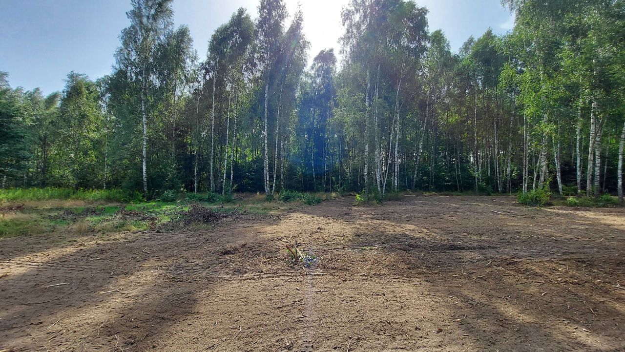 Działka rekreacyjna Osieck. Zdjęcie 4