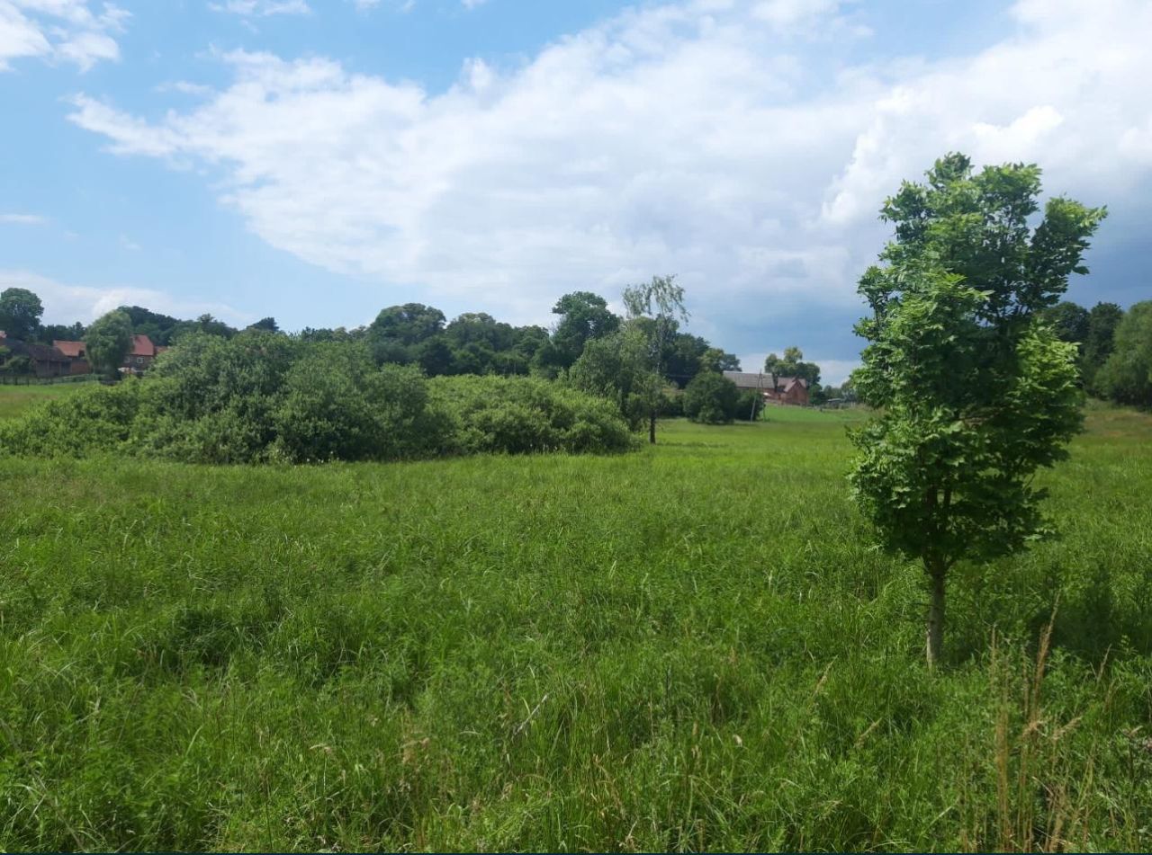 Działka rolna Tyczewo. Zdjęcie 7