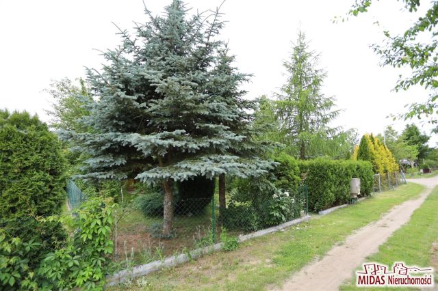 Działka rod Ciechocinek, ul. Adama Mickiewicza. Zdjęcie 6