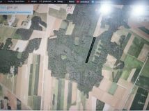 Działka leśna Sady. Zdjęcie 2