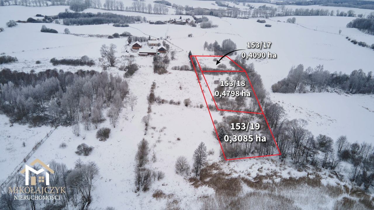 Działka rolna Pierwągi. Zdjęcie 4