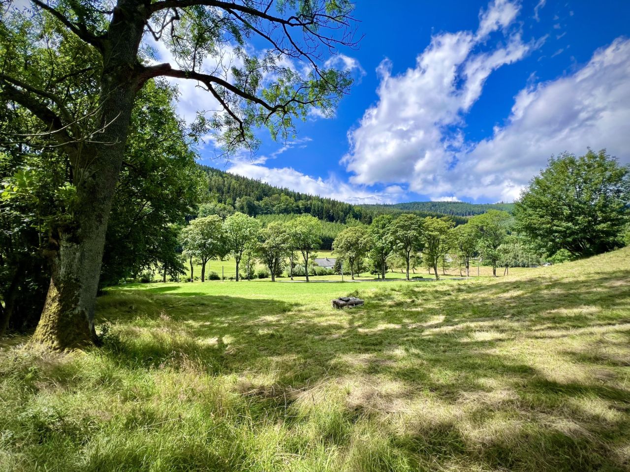 Działka rekreacyjna Jarkowice. Zdjęcie 3