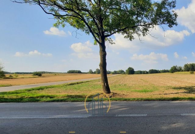 Działka rolna Rudno. Zdjęcie 6