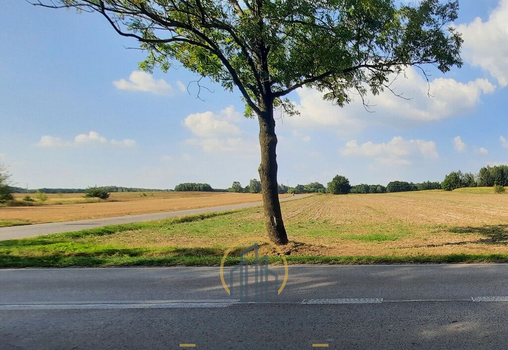 Działka rolna Rudno. Zdjęcie 6