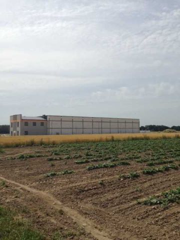 Działka inwestycyjna Henrysin. Zdjęcie 1