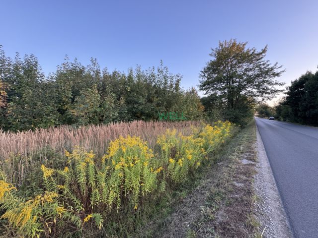 Działka rolno-budowlana Jordanów. Zdjęcie 1