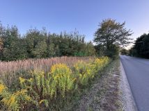 Działka rolno-budowlana Jordanów