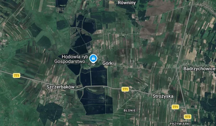 Działka rolna Górki