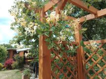 Działka rod Świdnik, ul. Działkowca. Zdjęcie 4