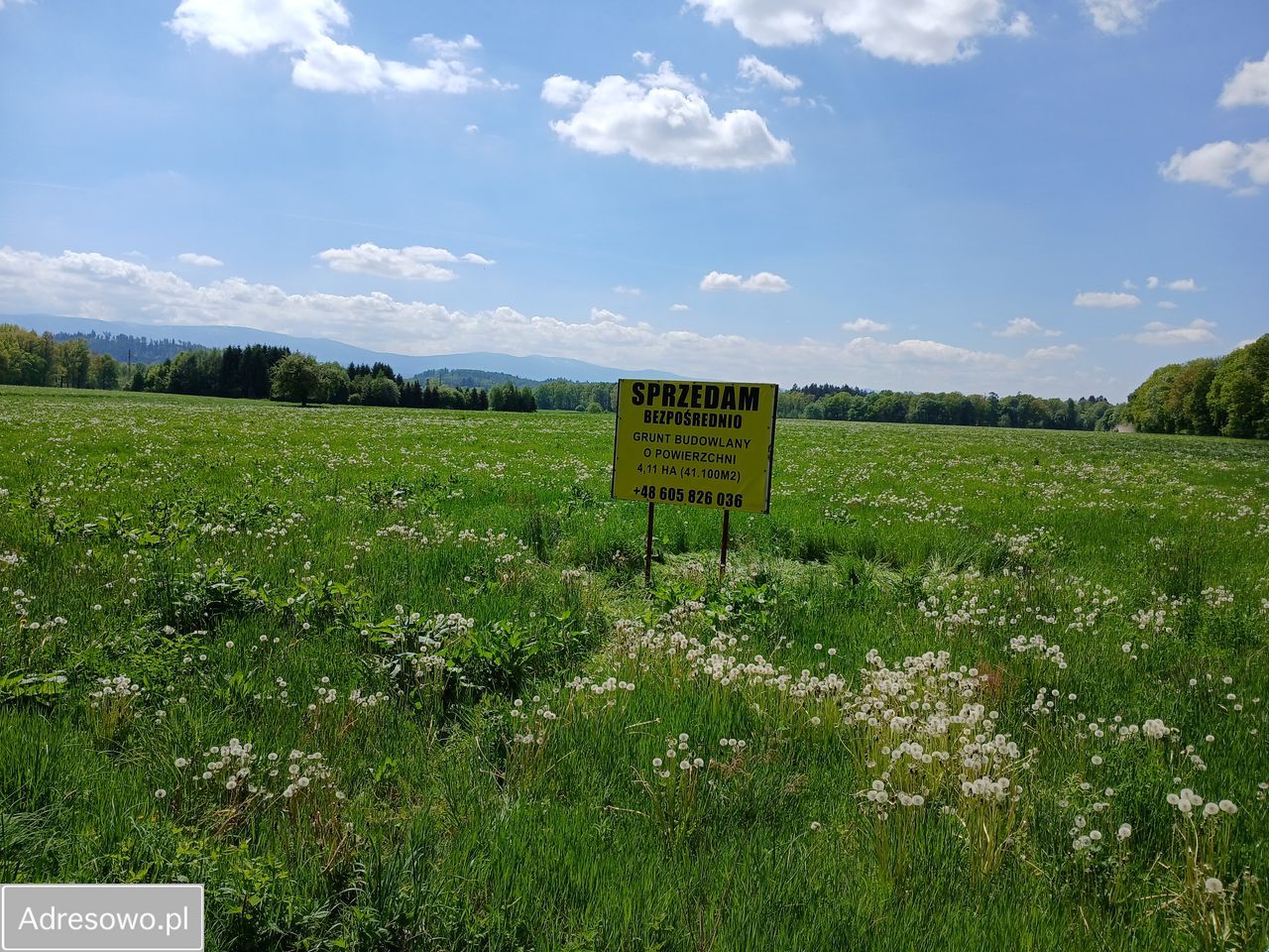 Działka budowlana Radomierz. Zdjęcie 2