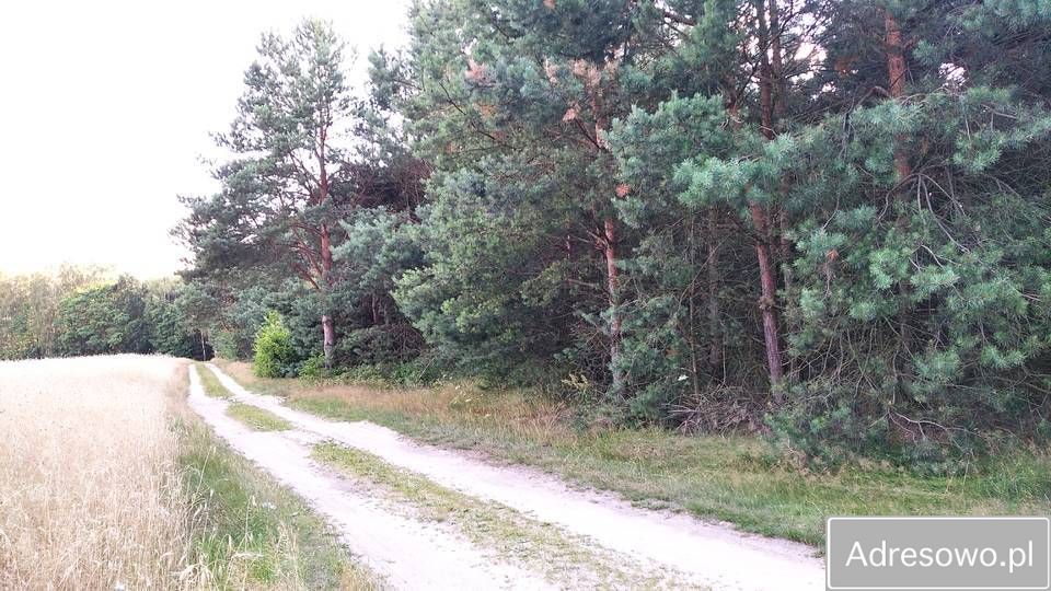 Działka budowlana Rynia. Zdjęcie 1