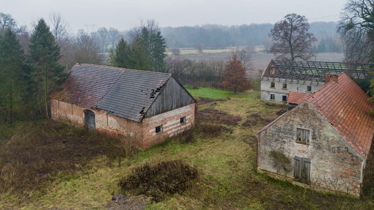 Działka budowlana Siekierowice. Zdjęcie 23